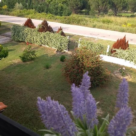Athina Vourvourou Apartments Zewnętrze zdjęcie