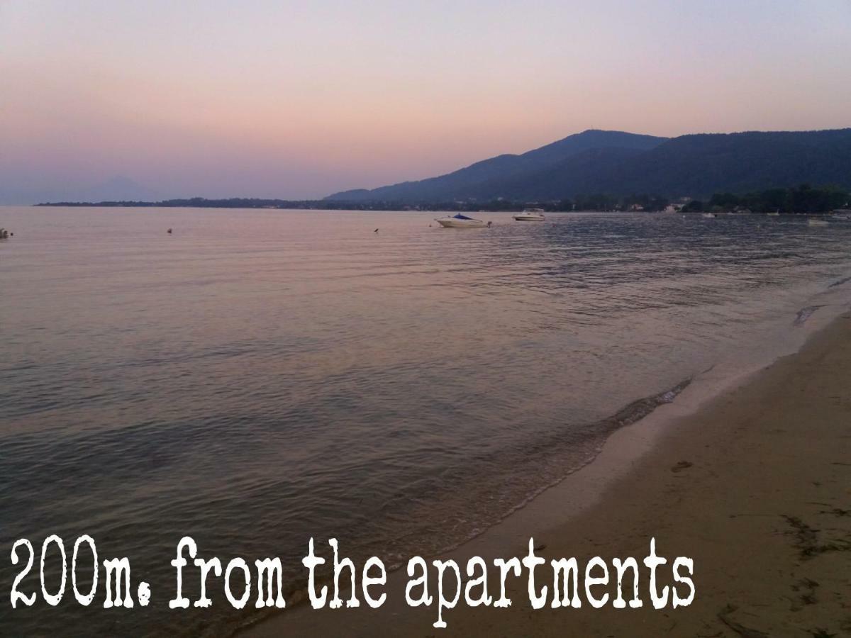 Athina Vourvourou Apartments Zewnętrze zdjęcie